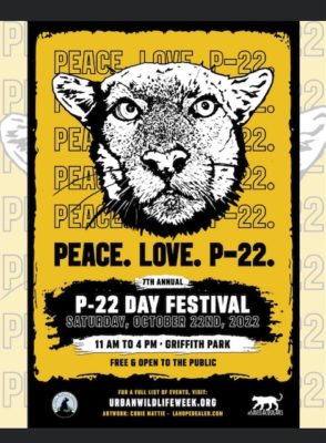 P-22 Day Festival